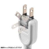 サンワサプライ  一括集中スイッチ付き電源延長コード TAP-EX4SWW（直送品）