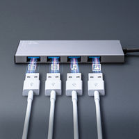 サンワサプライ  USB 10Gbps Type-C ハブ（4ポート） USB-10TC13SV（直送品）