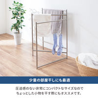 天馬 ポーリッシュ インテリア物干し タオルスタンド PSI-06 1個