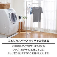 天馬 ポーリッシュ インテリア物干し パネルスリム PSI-10 1セット（3個）