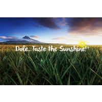 ドール パイン＆ナタデココ 227g 6缶