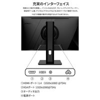 JAPANNEXT 23.8インチ液晶モニター 上下昇降機能/画面回転機能 JN-I238FR-HSP 1台