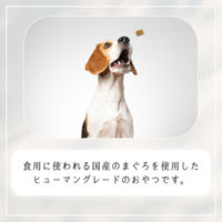 HappyDays まぐろチップ 犬用 国産 50g 3袋 ペットプロ ドッグフード おやつ