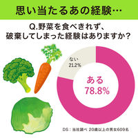 野菜長持ち 新鮮番 野菜室に置くだけ 野菜用 鮮度保持剤 1セット（1個×5）エステー