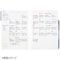 マルマン 【2025年版】リフィル ルーズリーフダイアリー B5 26穴 月間+週間(見開き片面1週間) 月曜始まり LD376-25 1冊（直送品）