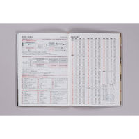 高橋書店 【2025年版】クレールインデックス3 B6 月間 日曜始まり 386 1冊（直送品）