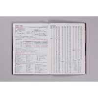 高橋書店 【2025年版】クレールインデックス1 B6 月間 日曜始まり 384 1冊（直送品）