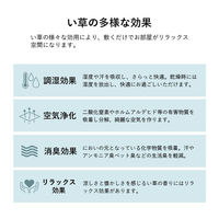 イケヒコ・コーポレーション ダイヤ い草ラグ 無地 1900×1900mm グリーン 1070811123211 1枚（直送品）