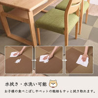 イケヒコ・コーポレーション 洗える ござ 日本製 国産 カーペット 除菌スプレー対応 ラグ 敷物『ラフテル』 1090270001302 1枚