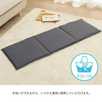 イケヒコ・コーポレーション クッション フリーシート ベンチシート 無地 国産『ループ』 1211810190501 1枚（直送品）