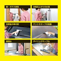 ケルヒャー ウォーターバキュームクリーナー WV 1 White 1.633-613.0 1台