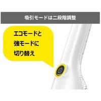 ケルヒャー ハンディクリーナー CVH 3 PLUS 1.198-423.0 1台