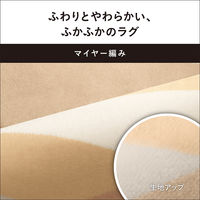 パナソニック 電気カーペット カバーセットタイプ DC-2NKC1-C 1台