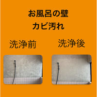 カビ落とし カビ取りキング500ml 4595317487034 1個