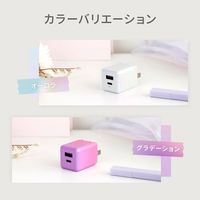 オウルテック PD20Wで超速充電可能 オーロラカラーのAC充電器 OWL-APD20A1C1R-AU 1個