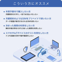 インターネットイニシアティブ IIJモバイルサービス/タイプD for IIJmio Biz プリペイドSIM IM-B401 1枚