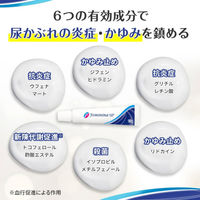 フェミニーナUP a 15g 小林製薬 尿かぶれ【第2類医薬品】