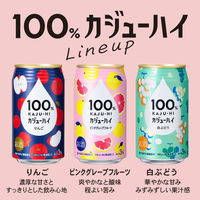 チューハイ カジューハイ100％ 3種飲み比べセット 1セット(3種×各2本)