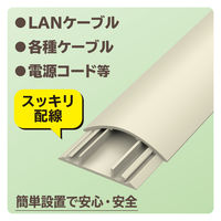 エレコム 配線カバー 床用 モール ( 長さ1m × 幅54mm ) R形状 ベージュ LD-GA1407M 1個（直送品）