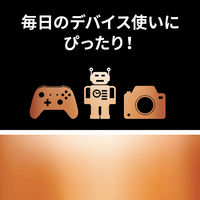 デュラセル アルカリ乾電池  単3形 1パック（10本入り）