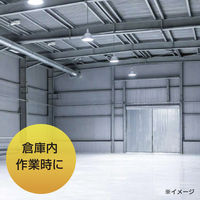 YAMAZEN 屋外でも使えるグラファイトヒーター 防塵・防滴仕様 リモコン式 DCTS-D09(B) 1個