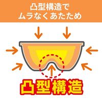 キチントさん ごはん 冷凍保存容器 フタを閉めたままレンジOK 小盛 100g 1個（5個入）クレハ