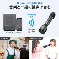 サンワサプライ ハンドマイク型ポータブル拡声器スピーカー(Bluetooth対応) MM-SPAMP18 1個（直送品）