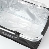 折り畳み保冷バスケット ブラック LAKOLE/ラコレ