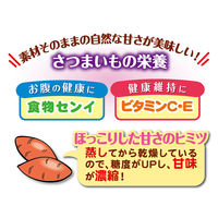 ペティオ 素材そのまま 無添加 さつまいも パリッと 極薄チップスタイプ 85g 1袋 犬用 おやつ