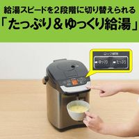 タイガー魔法瓶 蒸気レスVE電気ポット PIG-H300K 1台