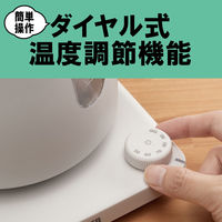 タイガー魔法瓶 温度調節機能付蒸気レスケトル PTV-A080WG 1台