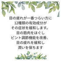 ラフェルサV12 15ml  目薬 眼疲労改善【第2類医薬品】