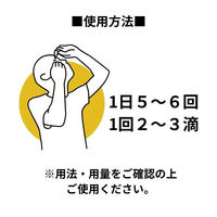 ラフェルサ ルイビーOA PC 15ml  目薬 PC、スマートフォンによる 目の疲れ 炎症【第2類医薬品】