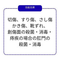 キズテクト 80ml 殺菌消毒液 色がつかないスプレータイプ【第3類医薬品】