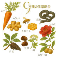 ラフェルサ甦逞液S 30ml×10本 滋養強壮 肉体疲労【第3類医薬品】