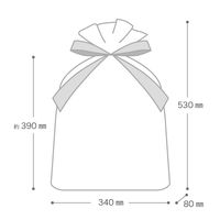 ヘッズ チャーミングクリスマスリボン付PEギフトバッグーM XCM-RBM 1袋(20枚)