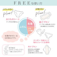 ナプキン フリーナ 使い捨て布ナプキン デリケートケアシート テープなし 1パック（60枚入）匠ソリューションズ