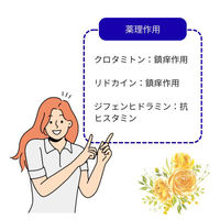 タナールAIクリーム 100g  ノンステロイド 塗り薬 かゆみ かぶれ 湿疹【第2類医薬品】