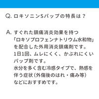 ロキソニンSパップ 7枚 第一三共ヘルスケア　ロキソプロフェン 貼り薬 痛み止め 腰痛 肩こり痛 筋肉痛【第2類医薬品】