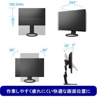 EIZO <FlexScan>24.1インチカラー液晶モニター EV2495-BK 1台