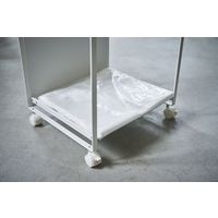 山崎実業 目隠し分別ダストワゴン トスカ 2分別 ホワイト 774779 1個