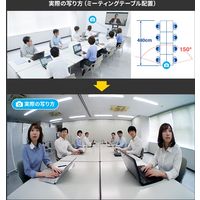 サンワサプライ 会議用ワイドレンズカメラ CMS-V53BK 1個（直送品）