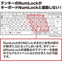 サンワサプライ 静音Bluetoothテンキー NT-BT23BK 1個（直送品）