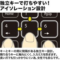 サンワサプライ 静音USBテンキー NT-23UBK 1個