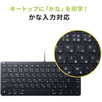 有線キーボード　パンタグラフ　Lightning接続　コンパクト　ブラック　SKB-IP3BK　サンワサプライ　1個（直送品）