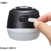 サンワサプライ 小型USB充電式LEDランタン USB-LED02 1個（直送品）