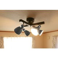 アイリスオーヤマ 4灯シーリングライト クロスタイプ CL-4E26CW-DH 1台（直送品）