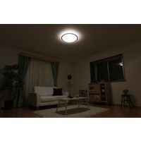 アイリスオーヤマ LEDシーリング 5.0シリーズ 木調フレーム 12畳調色 CL12DL-5.0WF-M 1台（直送品）