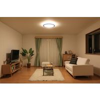 アイリスオーヤマ LEDシーリング　5.0シリーズ 木調フレーム 14畳調色 CL14DL-5.0WF-M 1台（直送品）