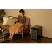 アイリスオーヤマ ワインセラー 25L IWC-P081A-B 1台